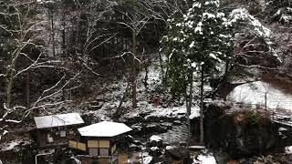 12月12日 初積雪