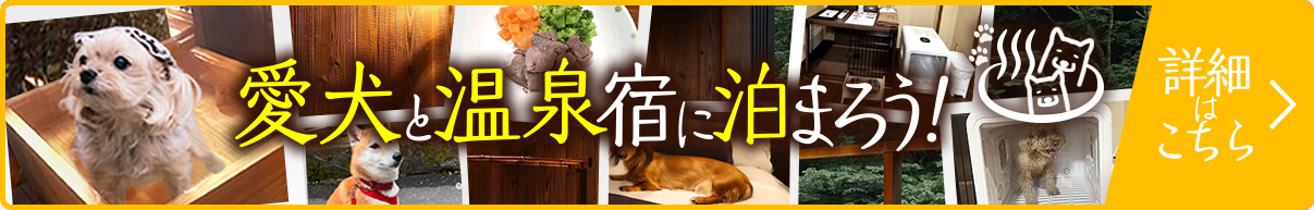 愛犬と温泉宿に泊まろう！